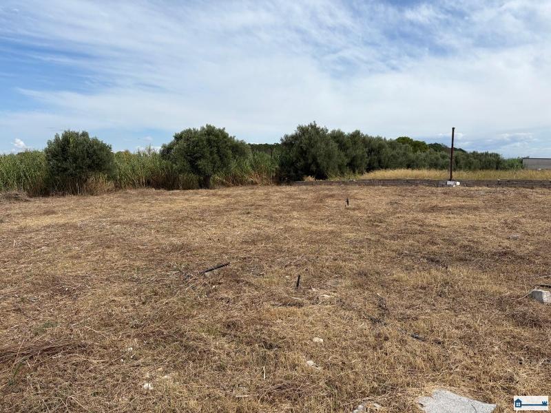 PHOTO-2025-08-20-18-38-07 (1).jpg